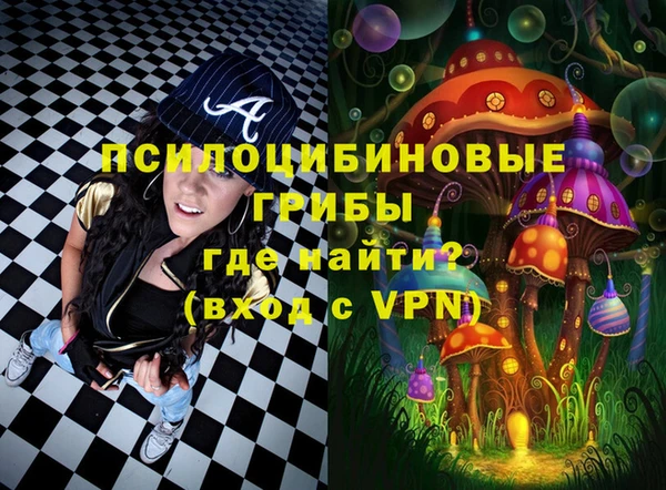 гидра Алексин
