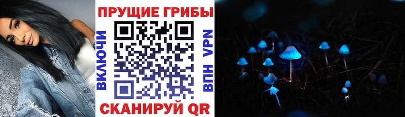 маркетплейс какой сайт omg рабочий сайт Галлюциногенные грибы мицелий Гвардейск купить закладку